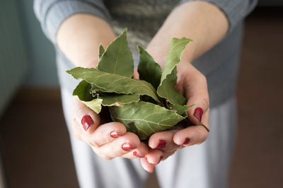 Best Bay Leaf Substitute?