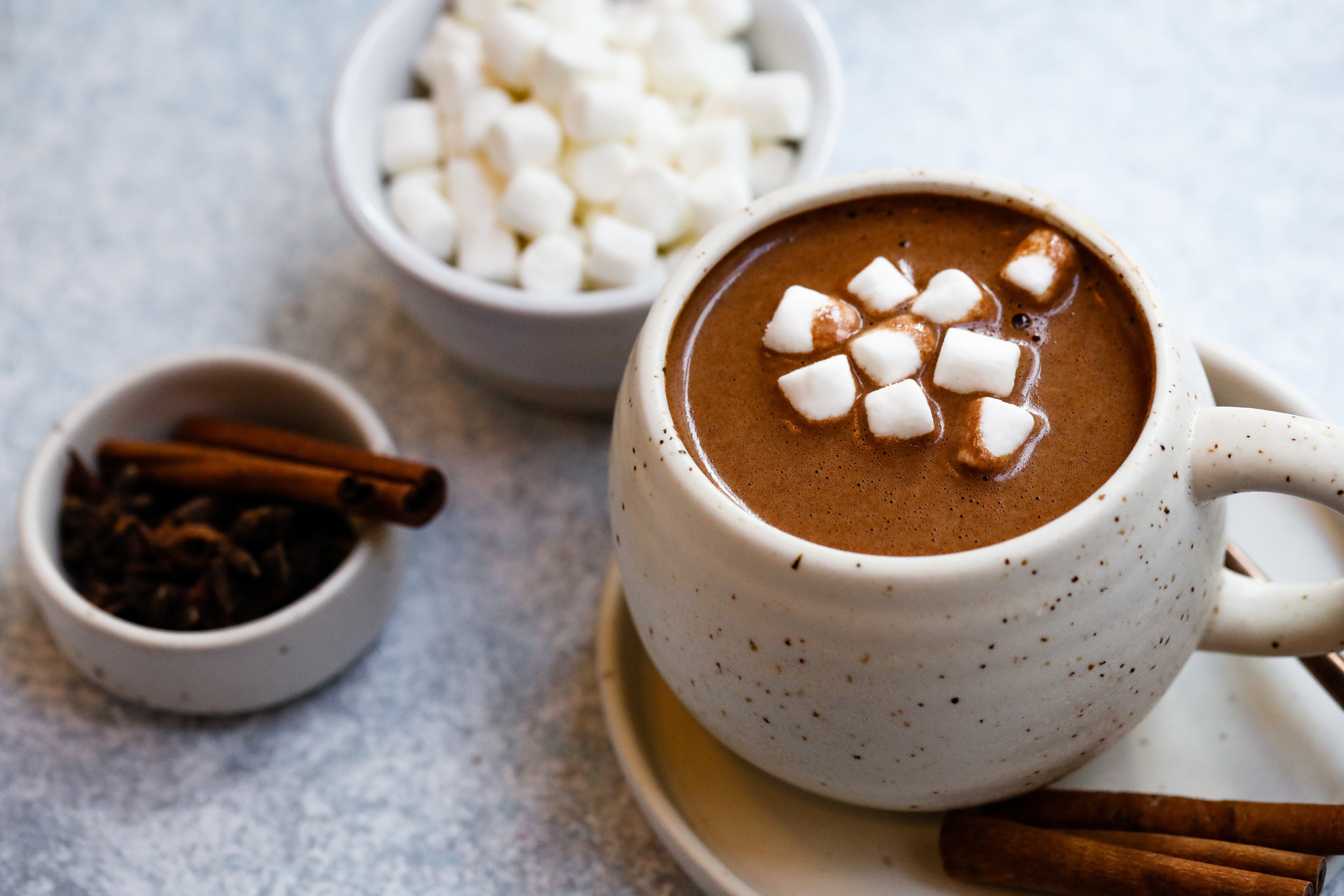 Lebküchen Spiced Hot Cocoa