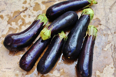 Baked Eggplant (Vegan)