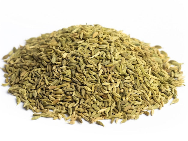 What Are Fennel Seeds? All You Need to Know