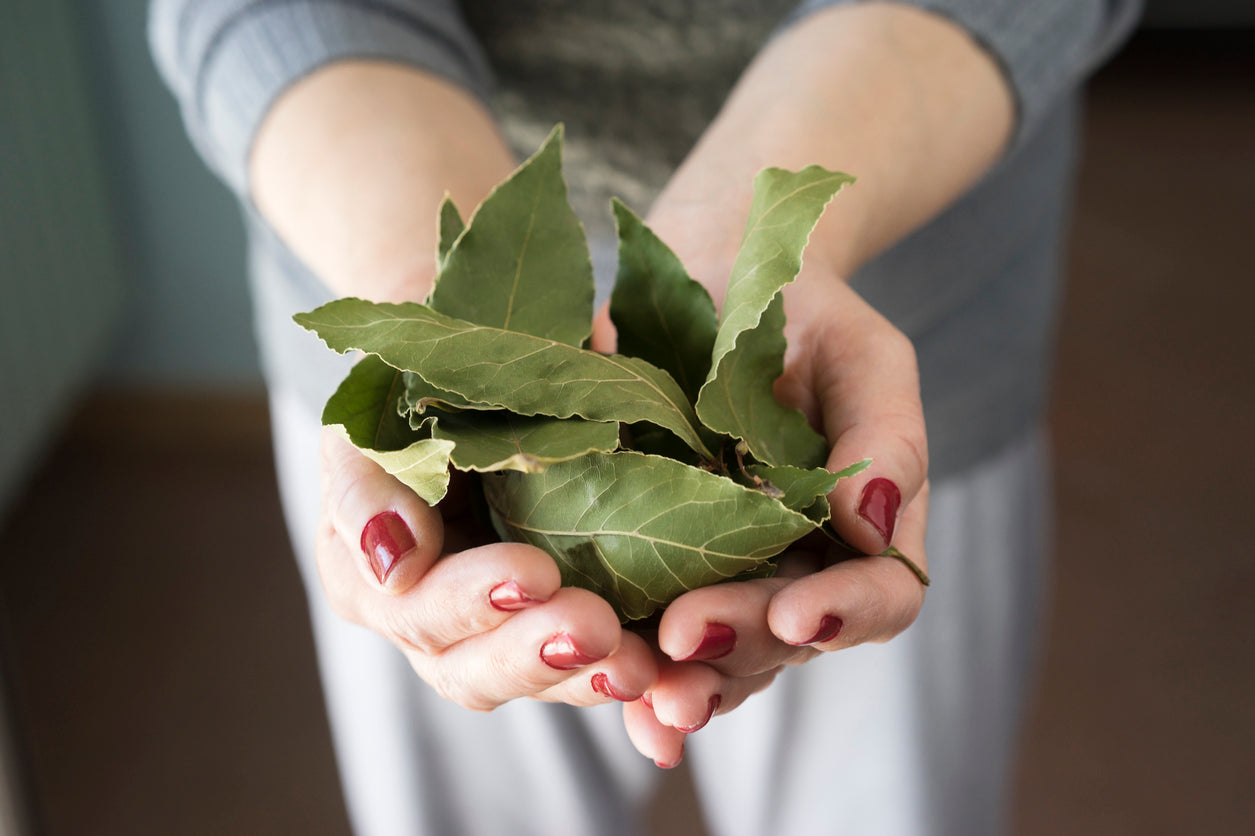 bay-leaf-substitute