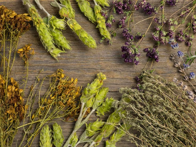 What Is Herbs De Provence? Unveil The Secret To Your Own Spice Mix