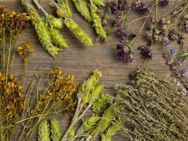 What Is Herbs De Provence? Unveil The Secret To Your Own Spice Mix