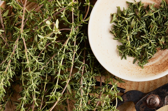 Thyme vs Parsley: Which Herb Works Best in Your Cooking?