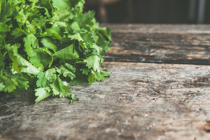 5 Cheaper Alternatives to Coriander Substitute Spice