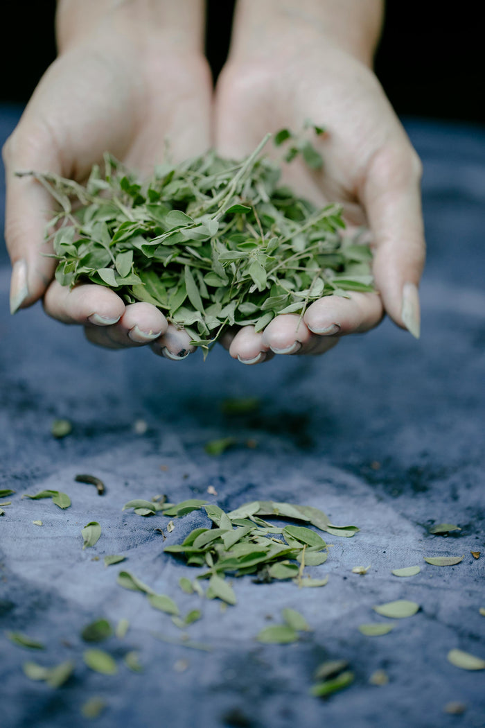 sage leaves substitutes