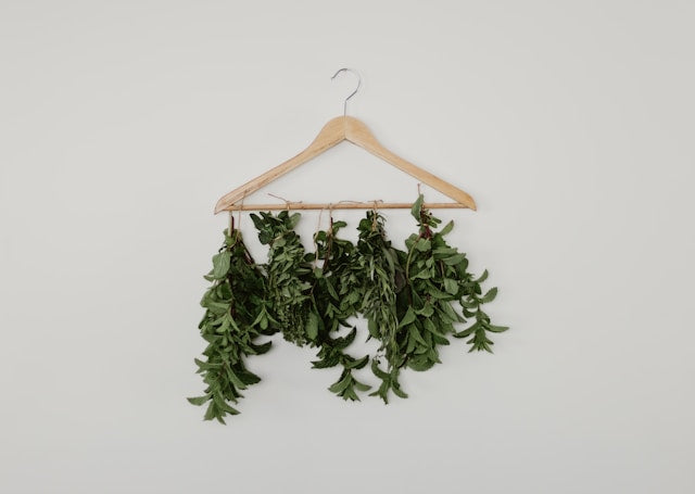 How to Dry and Grind Fresh Herbs: A Comprehensive Guide