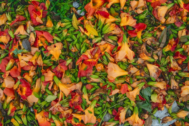 Sustainable Spices for a Greener Kitchen and Healthier Planet